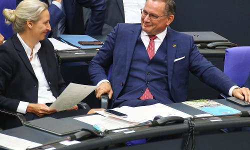 Alice Weidel und Tino Chrupalla (Archiv)
