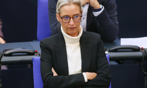 Alice Weidel (Archiv)