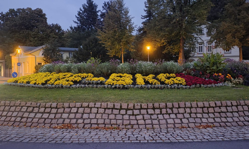 Was will die Stadt mit der Blumenbeschriftung sagen? 