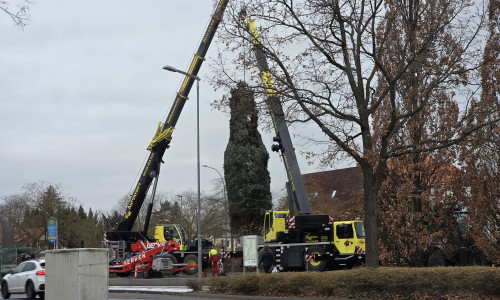 Am gestrigen Montag wurde die Weihanchtstanne angeliefert, die vor Jägermeister stehen wird. 