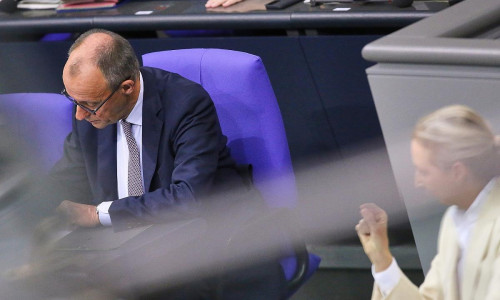 Friedrich Merz und Alice Weidel (Archiv)