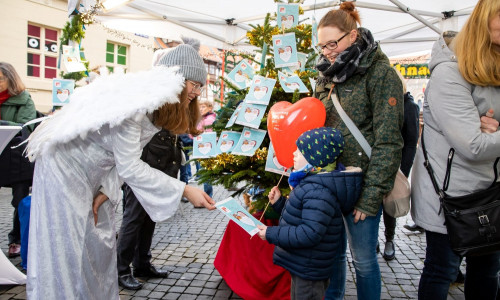 Am Samstag, 29. November, wartet der AAI-Wunschbaum von 10:00 bis 17:00 Uhr auf großzügige Wünschererfüller.