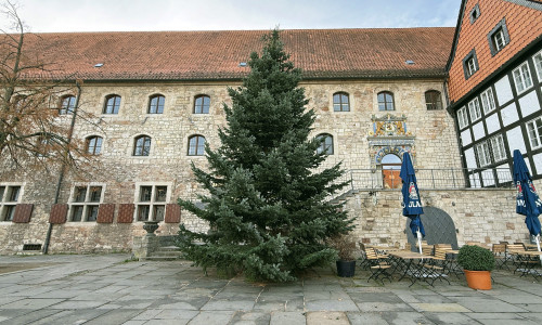  Auf dem Domplatz und dem Altstadtmarkt stehen zwei große Nordmanntannen als Vorboten auf die besinnliche Adventszeit in der Löwenstadt.