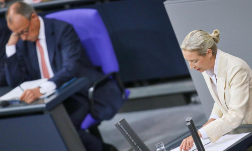 Friedrich Merz und Alice Weidel (AfD) (Archiv)