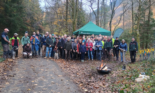 Im Wintertal begleitete Marcel Möller (2. v. li.), Betriebsleiter der Stadtforst Goslar, den BUND, den Harzklub Zweigverein Goslar und zahlreiche Ehrenamtliche. Gemeinsam setzten sie 500 heimische Sträucher und Bäume.