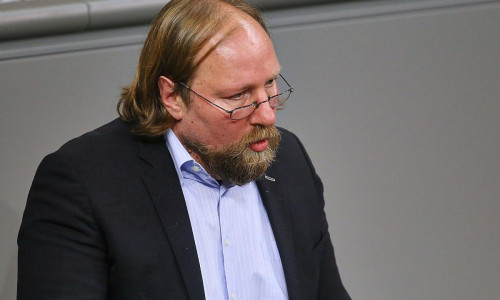 Anton Hofreiter (Archiv)