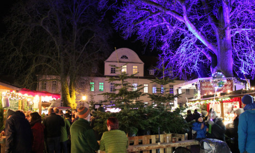 Weihnachtsmarkt auf dem Burgplatz in Schöningen.