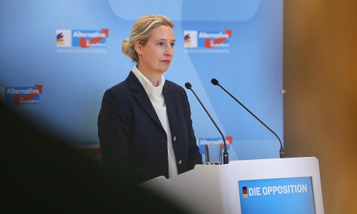 Alice Weidel am 24.11.2025