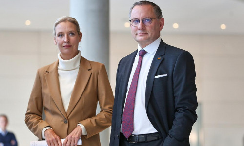 Alice Weidel und Tino Chrupalla (Archiv)