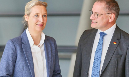 Alice Weidel und Tino Chrupalla (Archiv)