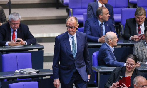 Friedrich Merz neben AfD-Fraktion (Archiv)