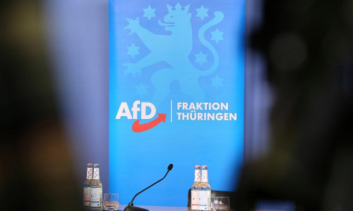 AfD-Fraktion im Thüringer Landtag (Archiv)