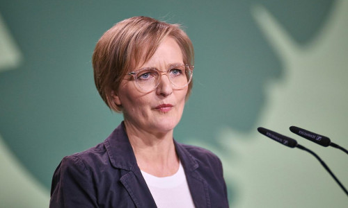 Franziska Brantner (Archiv)