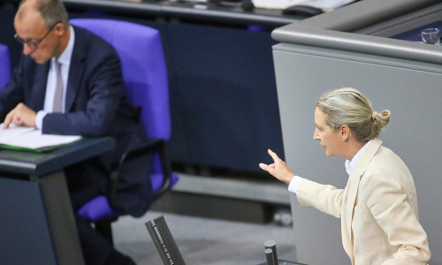 Friedrich Merz und Alice Weidel (Archiv)