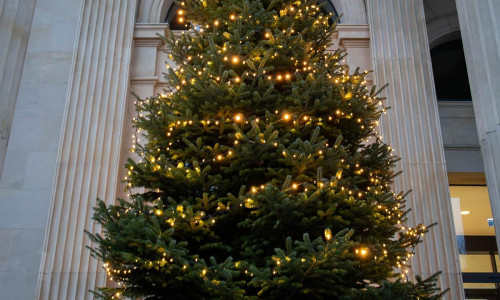 Es weihnachtet im Niedersächsischen Landtag am 28.11.2025