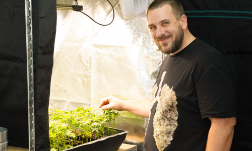 Olaf Grätsch bietet in seinem Growshop auch Setzlinge an.