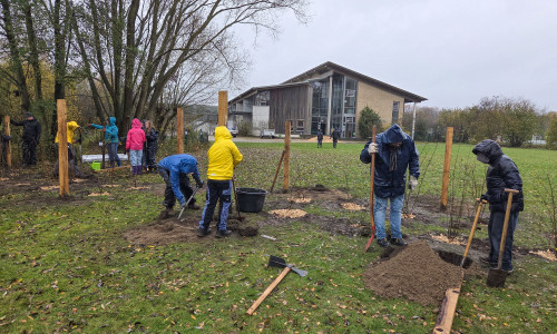 Pflanzaktion im Rahmen des Projektes „Minidrachenland“.