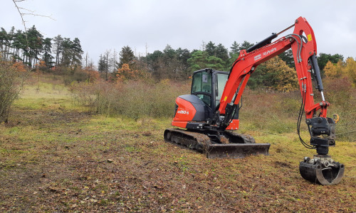 Bereits im letzten Jahr wurden hier Pflegearbeiten durchgeführt.