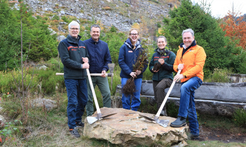 von links: Michael Rudolph (Nds. Landesforsten), Malte Heinemann (fit4future foundation Germany), Tiziana Rose (Antenne Niedersachsen), Josefine Barke (Nds. Landesforsten) und Thomas Fast (United Kids Foundations) pflanzten gemeinsam junge Buchen im Harz.