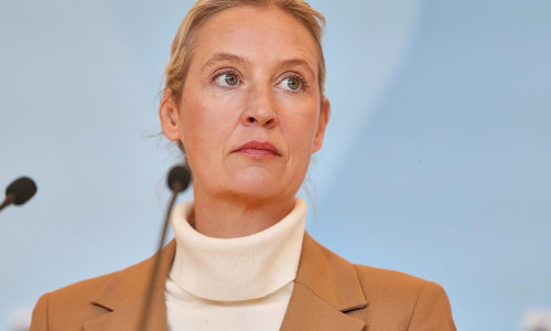 Alice Weidel (Archiv)