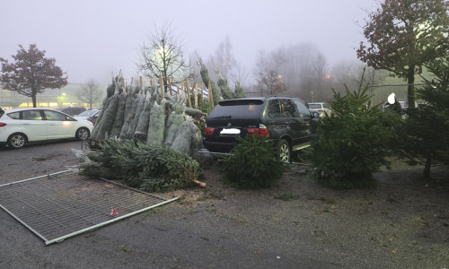 Ein Autofahrer war am Samstagmorgen mit seinem Fahrzeug in einen Weihnachtsbaum-Verkaufsstand gefahren. 