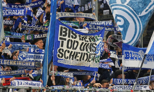 Fans von Schalke 04 (Archiv)