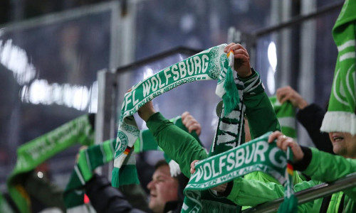 Fans des VfL Wolfsburg (Archiv)