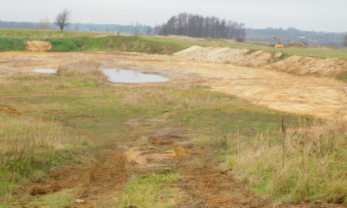 Die Flächen werden mit einem Bagger offengemacht – das verbessert den Lebensraum für Amphibien, etwa den seltenen Kreuz- und Knoblauchkröten. 