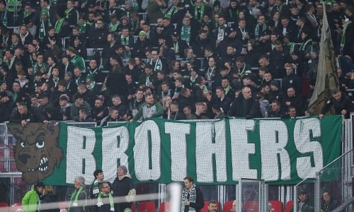 Fans des VfL Wolfsburg (Archiv)