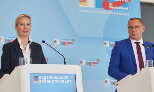 Alice Weidel und Tino Chrupalla (Archiv)