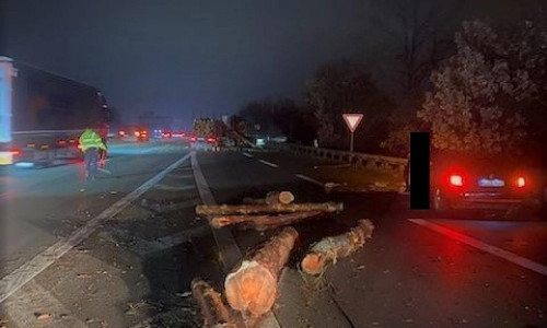 Die Baumstämme auf der Fahrbahn (Archiv)