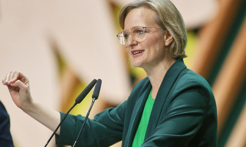 Franziska Brantner (Archiv)