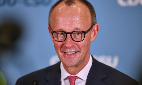 Friedrich Merz am 31.01.2025