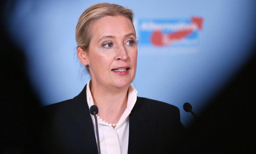 Alice Weidel (Archiv)