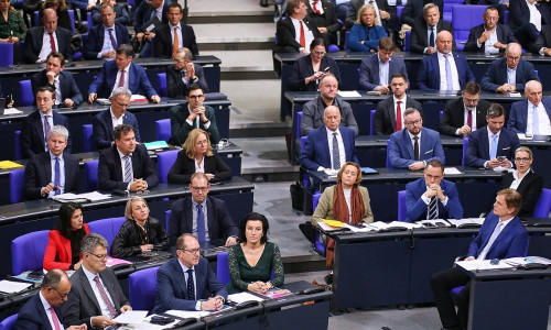 Union und AfD im Bundestag am 31.01.2025