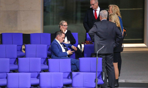 AfD-Abgeordnete im Bundestag am 31.01.2025