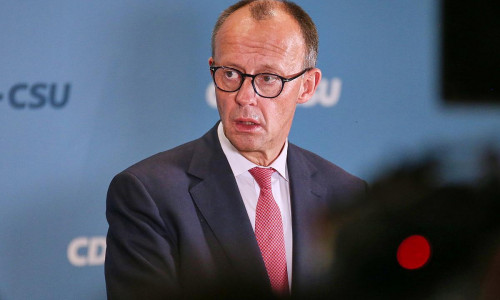 Friedrich Merz am 31.01.2025