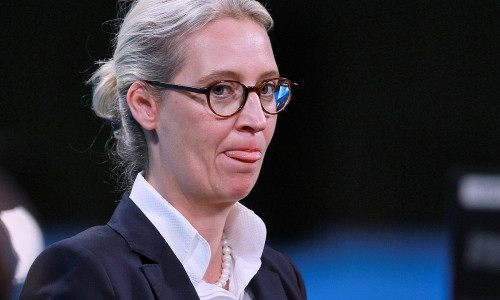 Alice Weidel (Archiv)