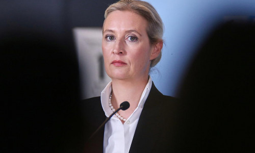 Alice Weidel (Archiv)