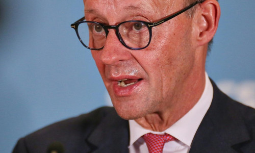 Friedrich Merz am 31.01.2025