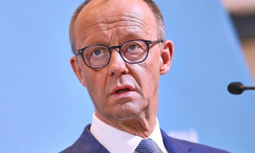 Friedrich Merz (Archiv)