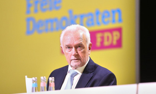 Wolfgang Kubicki (Archiv)