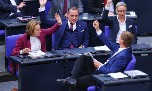 AfD-Bundestagsfraktion (Archiv)