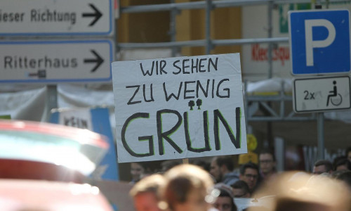 Protest von Fridays-For-Future (Archiv)