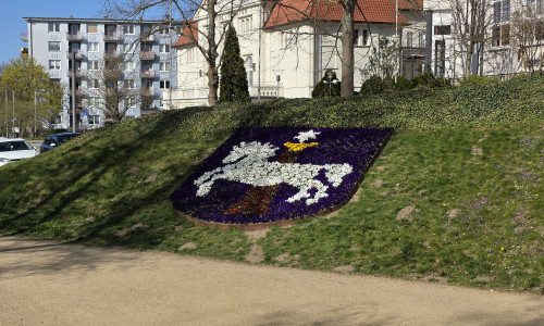 Wie soll es weitergehen mit Wolfenbüttels Grünflächen (Symbolbild)?