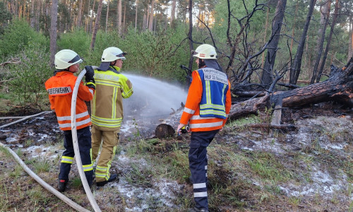 Die Einsatzkräfte bei der Brandbekämpfung.