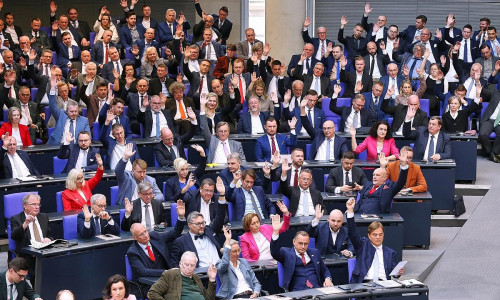 AfD-Bundestagsfraktion (Archiv)