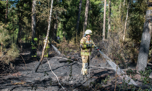 Am Montagnachmittag kam es zu einem Waldbrand.