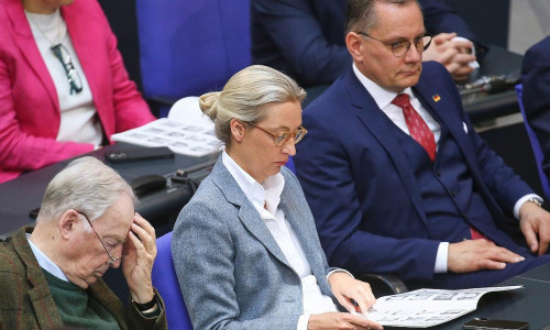 Alexander Gauland, Alice Weidel und Tino Chrupalla (Archiv)