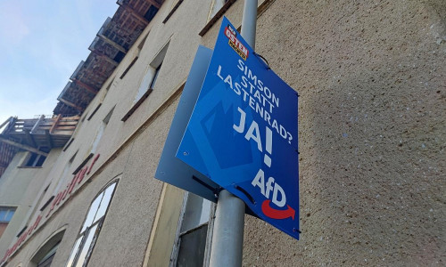 AfD-Wahlplakat zur Landtagswahl in Thüringen (Archiv)